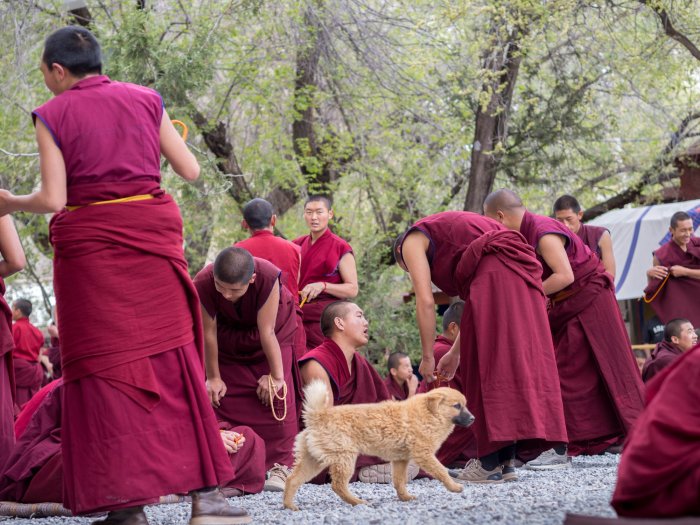 China: Yunnan and Tibet